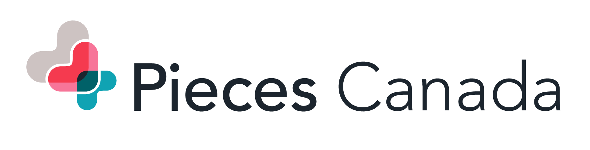 PIECES™ Learning and Development Program